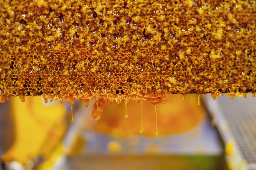does honey go bad? not if it is raw honey