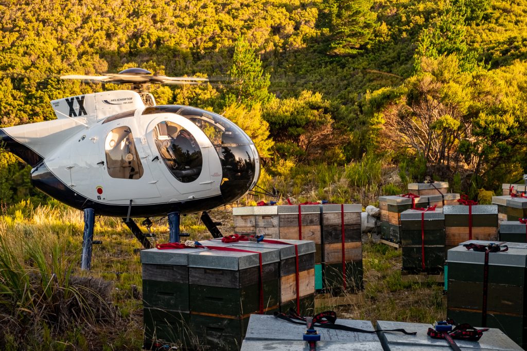 helicopter picking up beehives full of honey